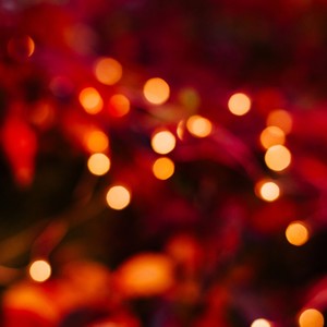 Holiday In Your Eyes 1