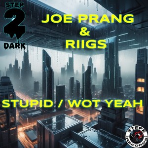 Stupid (Original Mix)