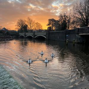 Good Day (feat. Geoffrey Nicholson)