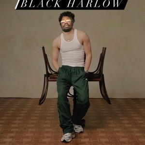 Black Harlow (Explicit)