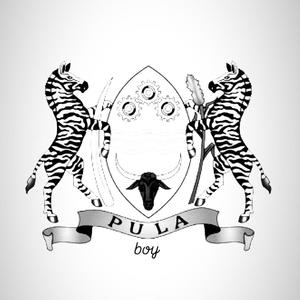 2000 likes (feat. Chrysanthus) (Explicit)