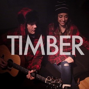 Timber (Acoustic Version) - Tyler Ward、Alex G封面