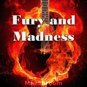 Fury and Madness