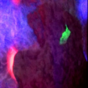 бардак (Explicit)