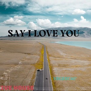 SAY I LOVE YOU