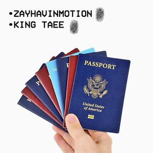 Passport (feat. King Taee) [Explicit]