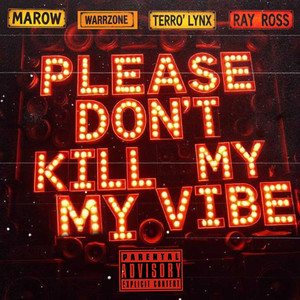Please Don't Kill My Vibe (Explicit)