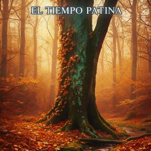 El tiempo pátina