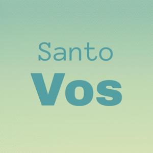 Santo Vos