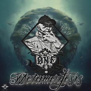 Trapficando (feat. Chimpa) (Explicit)