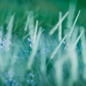 Chasing Memories (Extended Version)