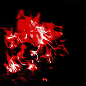 Они все хотели