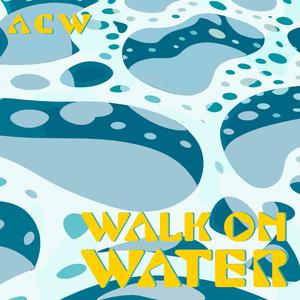 Walk On Water (feat. CeeDubelu) (Remix)