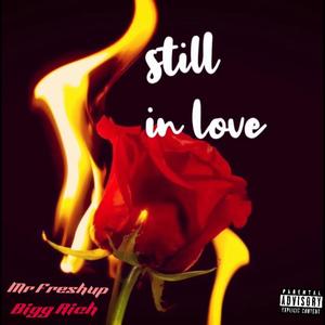 Still In Love (feat. Bigg Rich) (Explicit)
