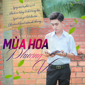 Mùa Hoa Phượng Vỹ