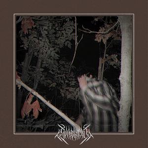 brown flannel (Explicit)