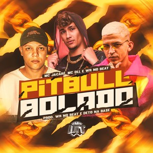 Pitbull Bolado (Explicit)