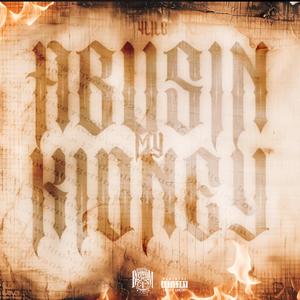 Abusin My Kidney (Explicit)