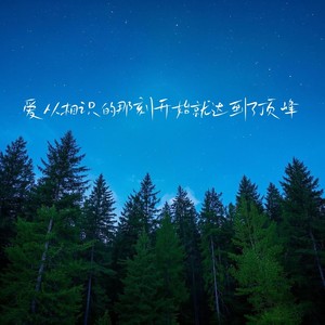 爱从相识的那刻开始就达到了顶峰