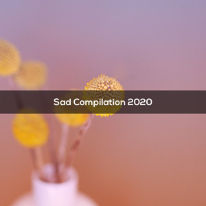 Sad Compilation 2020