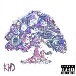 Glo up One Day (Explicit)
