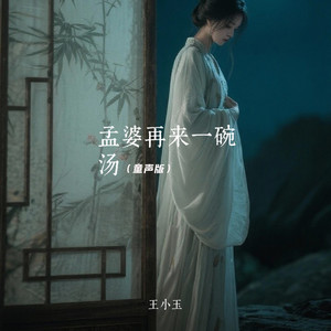 我跪求孟婆再来一碗汤-王小玉