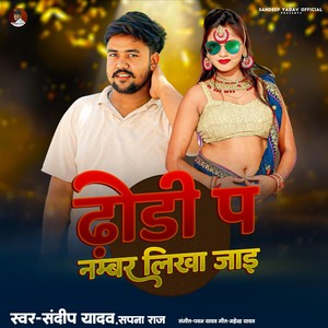 Dhodhi Pa Number Likha Jai