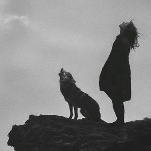 成为王的代价（狼王梦）