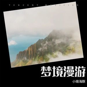 小瑜海豚 - 梦境漫游