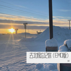 去北极忘记你-阿平