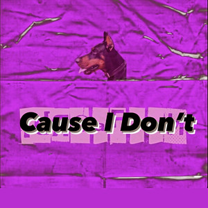 Cause I Don't (Explicit)