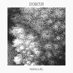 Dorcus Parallel