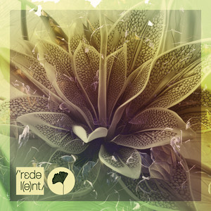 Outra Vez (Dimo|BG|Remix)