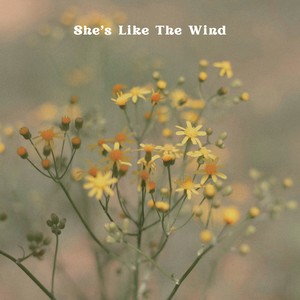 She's Like the Wind