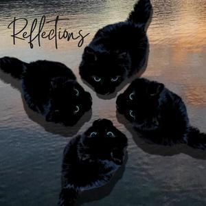 Reflections (feat. Ike Spivak)