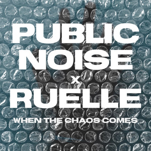 Public Noise - When the Chaos Comes