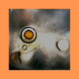 打 蛋 掉 洞 歌