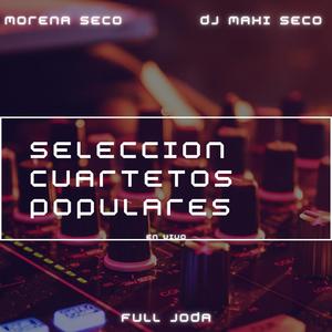 Seleccion Cuartetos Populares (En Vivo) [Remix]