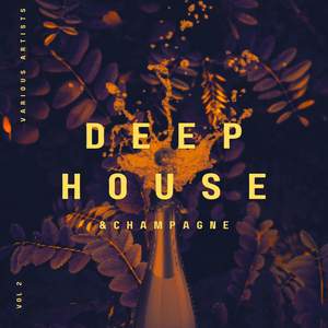 Deep-House and Champagne, Vol. 2 (Explicit)
