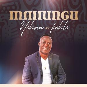 Ndzi lo tsetseleriwa