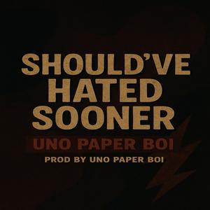 Should've Hated Sooner (Explicit)