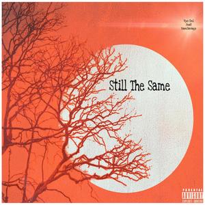 Still The Same (feat. BamSavage) [Explicit]