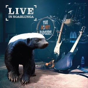 Back to the Blues (Live)