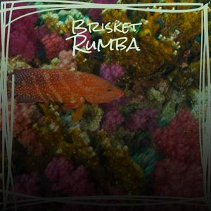 Brisket Rumba