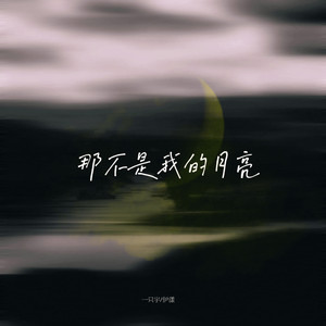 那不是我的月亮