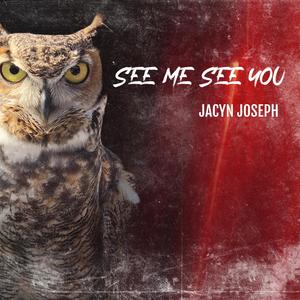 See Me See You