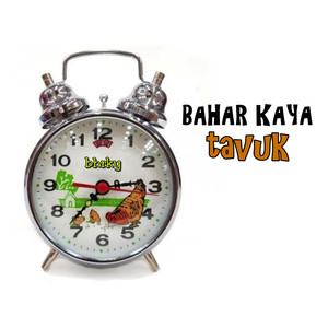 Tavuk