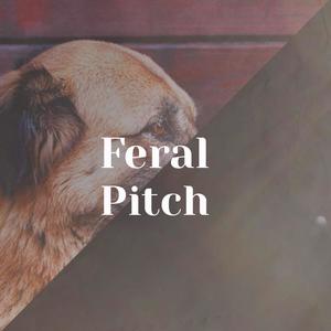 Feral Pitch