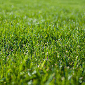 ឧទ្ទិសកុសលជូនព្រលឹងថ្ងៃបុណ្យភ្ជុំបិណ្ឌ (Explicit)