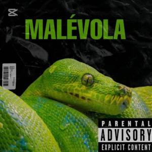 MALEVOLA (Explicit)